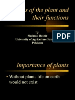 Plant Parts