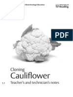 Cloning Cauliflower