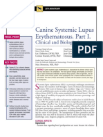 CANINE-CAnine Systemic Lupus Erythematosus - Part I