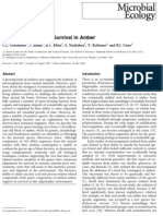 Micrococcus Luteus - Survival in Amber