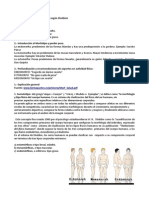 Morfotipos Somatotipos Sheldom PDF