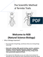 Lab 1 - The Scientific Method and Termite Trails Fall 2014