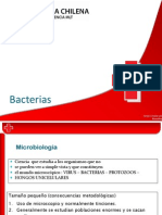 Bacterias