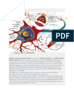 Complete Neuron Cell Diagram