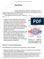 Acute Inflammation - Robbins Basic Pathology - Inflammation & Repair