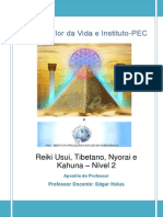 Reiki Usui Nível 2 Sefer I