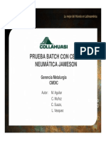 02 Prueba Batch Con Celda Neumatica Jameson - Marcelo Aguilar