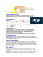 Experimentos Quimica Agua Turbia