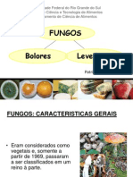 Aula Micro - Fungos