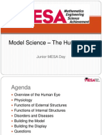 Model Science The Human Eye