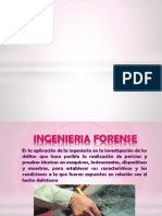 Ingenieria Forense