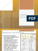 Registro Neutrónico