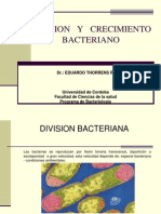 Division y Crecimiento Bacteriano