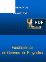 Gerencia de Proyectos - PMI