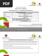 PDF Documento