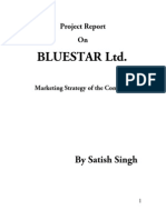 Marketing Strategy On Bluestar by Satish Singh