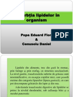 Absorbtia Lipidelor (Popa Eduard Si Cenusoiu Daniel)