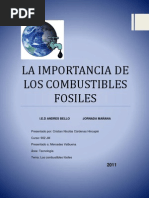 Importancia de Los Combustibles Fósiles