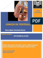 Cáncer de Testículo