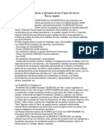 Características y Ejemplos de Los 5 Tipos de Alex Palka Reino Vegetal