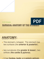 Surgical Anatomy of The Stomach