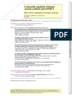 Skeletal Muscle Protein Synthesis and mTORC1 Nutritional and Contractile Regulation of Human