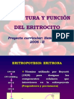 Estructura Del Eritrocito