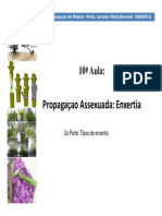 Tipo de Enxertia (UFLA)