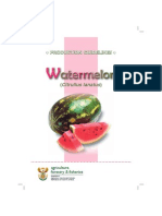 PG Watermelon