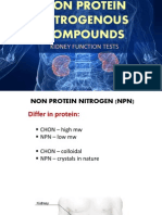 Kidney Function Tests