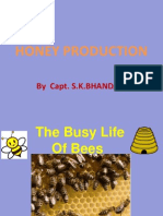 Honey Production