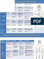 Los Chakras Mayores Sanacion Pranica