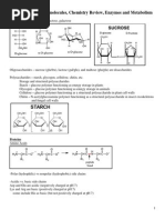 Biology Complete Outlines 2014 MCAT