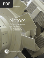 MV & HV Motors