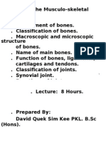 Skeletal System (Sem 1)