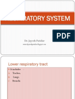 Respiratory System