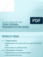 Tissue Renewal, Regeneration and Repair