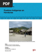 Pueblos Indígenas de Honduras PDF