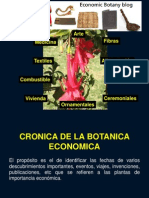 Botanica Economica PRIMERA CLASE