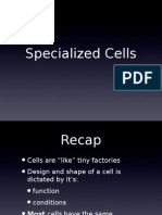 Cell Specialization