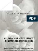 El Adn de La Paternidad