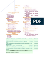 Función de Relación en Los Seres Vivos