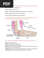 HL IB Biology