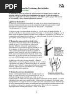 Desmochado PDF