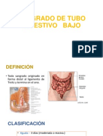 Sangrado de Tubo Digestivo Bajo