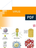 Caracteristicas Principales de Los Virus