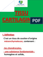 Tissu Cartilagineux