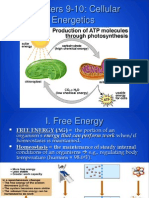 Ap - Cellular Energetics - Cell Respiration