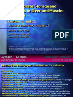 Carbohydrate Storage and Synthesis in Liver and Muscle: Glycogen