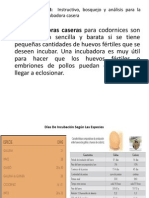 Instructivo para La Contruccion de Una Incubadora Casera